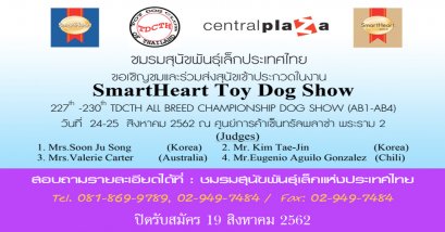 SmartHeart Toy Dog Show 2019